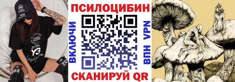 Псилоцибиновые грибы Cubensis  Бирск 